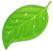 coda